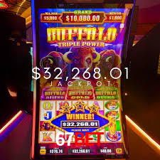 Experiência VIP 67bet